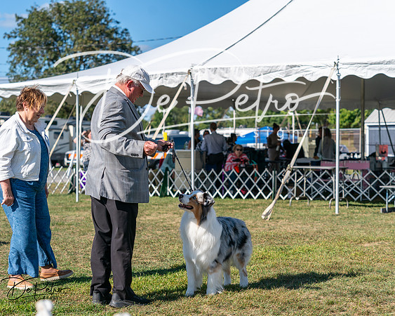 20250830-DSC05174