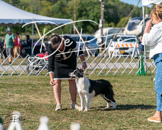 20250830-DSC05185