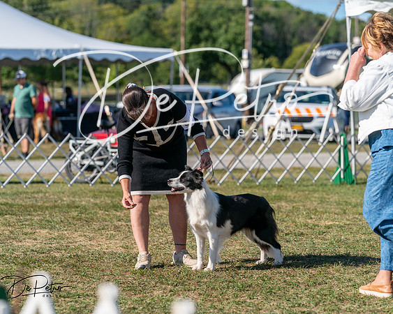 20250830-DSC05186