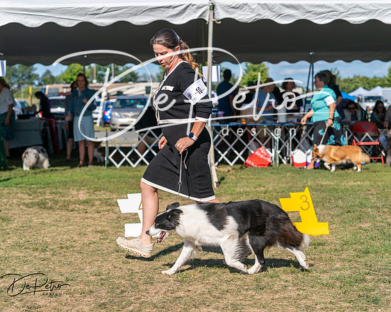 20250830-DSC05198