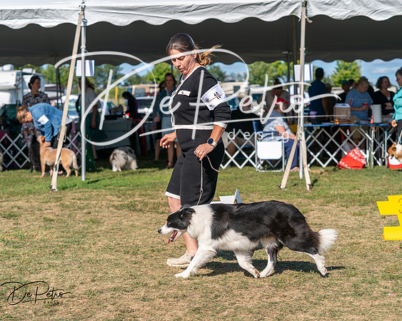 20250830-DSC05202