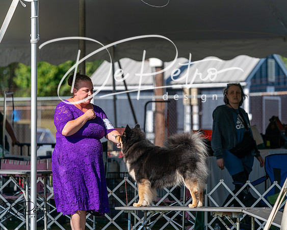 20250830-DSC05210