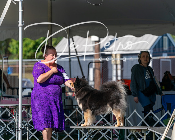20250830-DSC05211