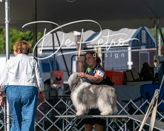 20250830-DSC05229