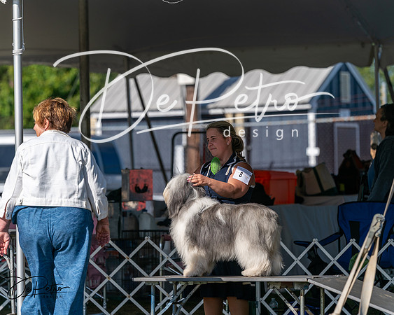 20250830-DSC05230