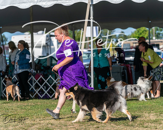 20250830-DSC05224