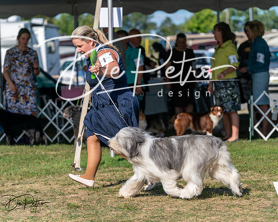 20250830-DSC05232