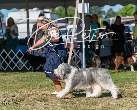 20250830-DSC05234