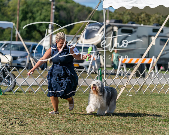 20250830-DSC05244