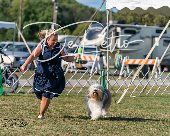 20250830-DSC05247