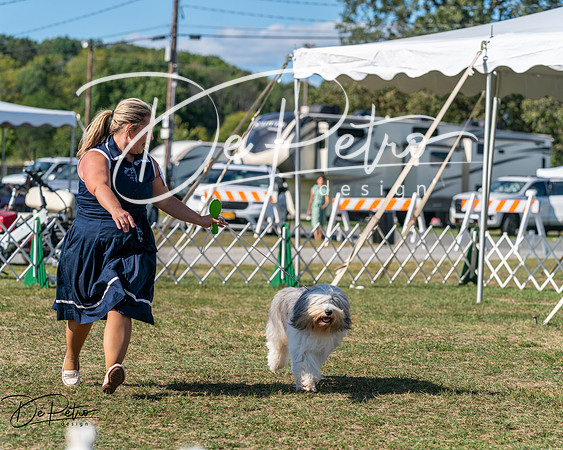 20250830-DSC05252