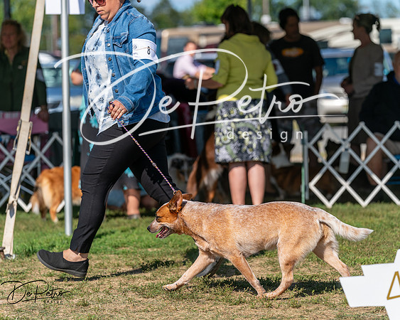 20250830-DSC05257