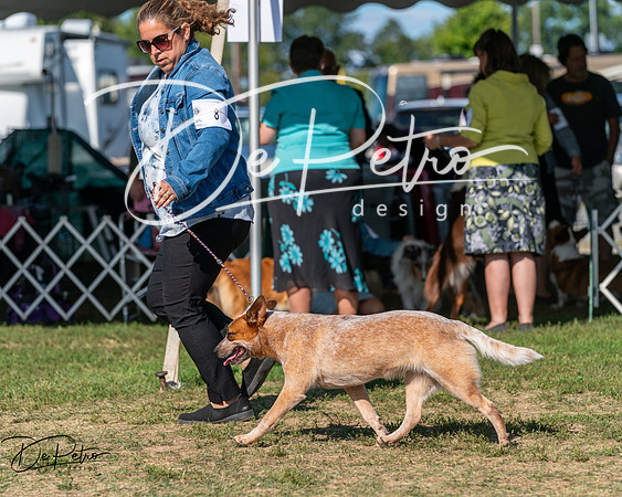 20250830-DSC05259