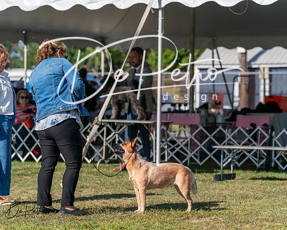 20250830-DSC05268