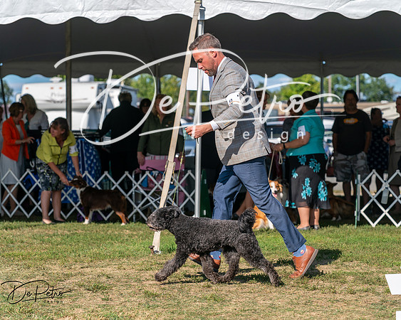 20250830-DSC05280
