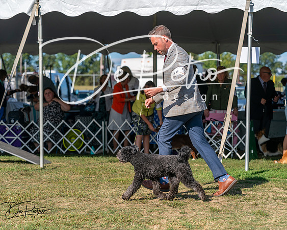 20250830-DSC05284
