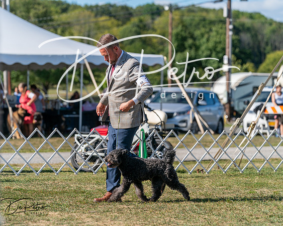 20250830-DSC05291