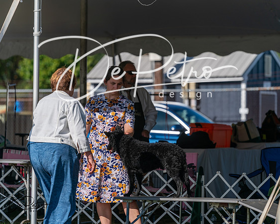 20250830-DSC05297