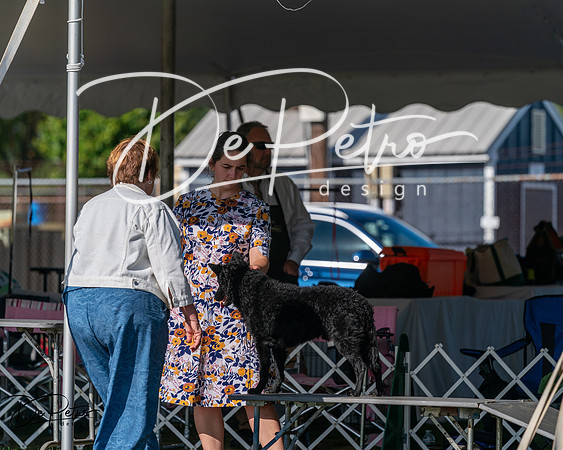 20250830-DSC05298