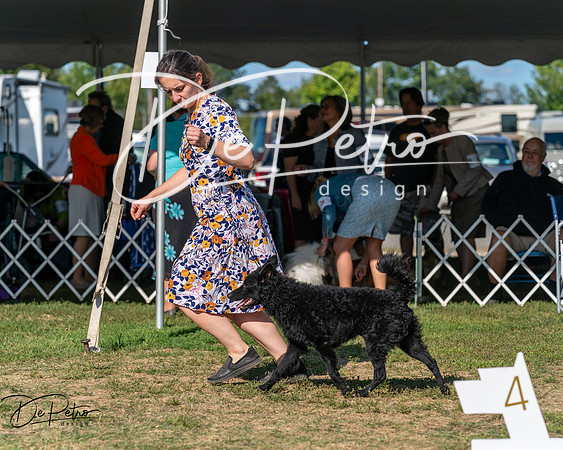 20250830-DSC05301