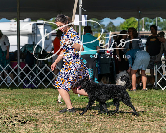 20250830-DSC05303