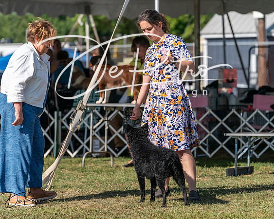 20250830-DSC05310