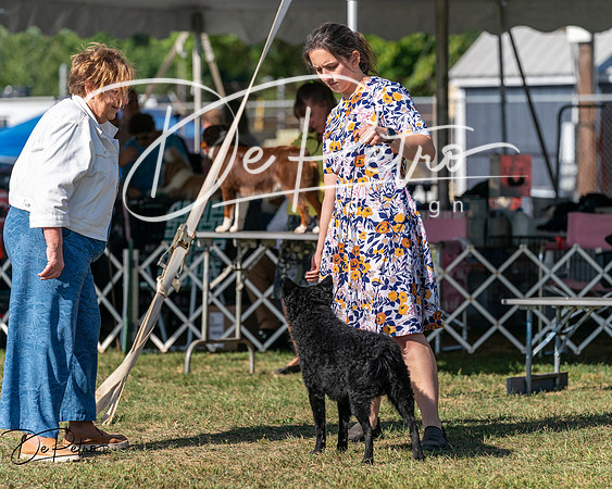 20250830-DSC05311