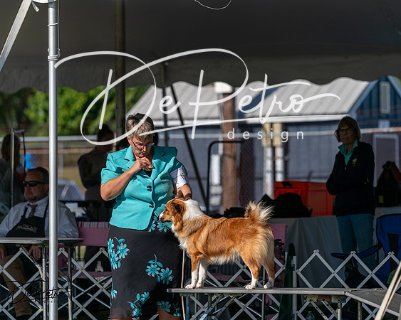 20250830-DSC05340