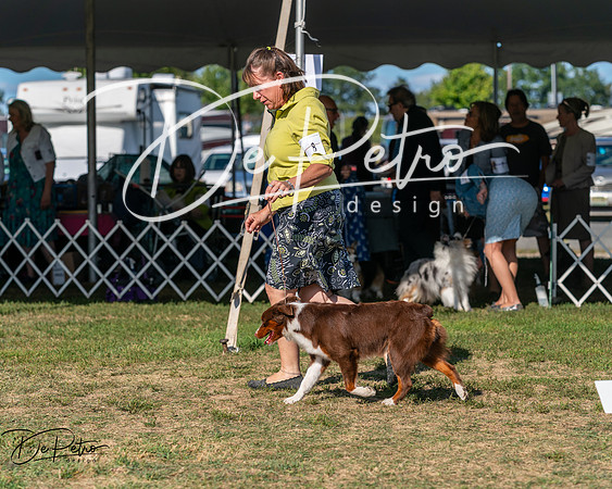 20250830-DSC05330