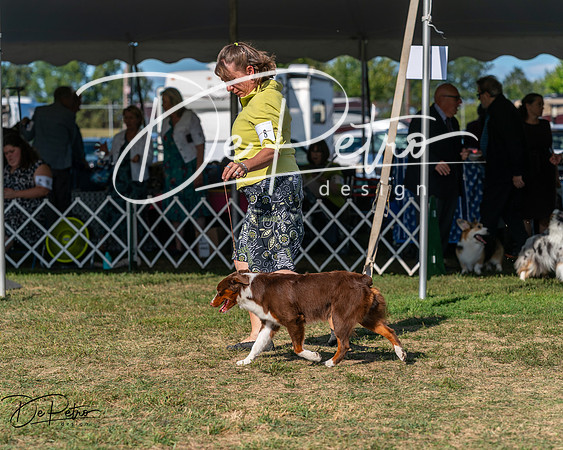 20250830-DSC05334