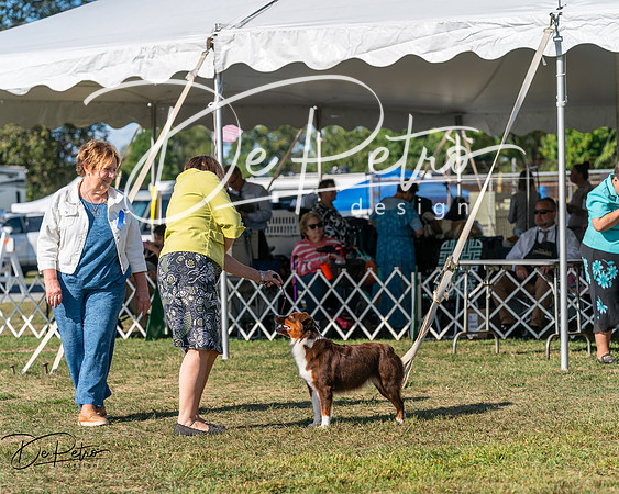 20250830-DSC05337