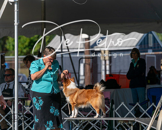20250830-DSC05342