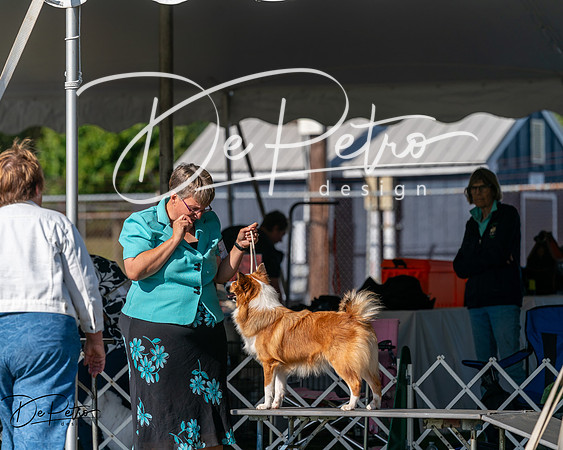 20250830-DSC05343