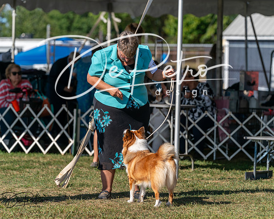 20250830-DSC05357