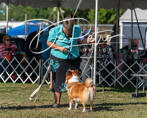 20250830-DSC05358