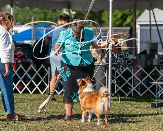 20250830-DSC05359