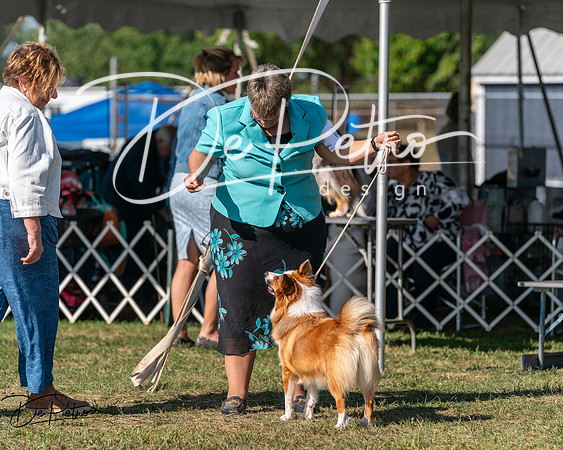 20250830-DSC05360