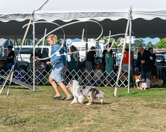 20250830-DSC05368