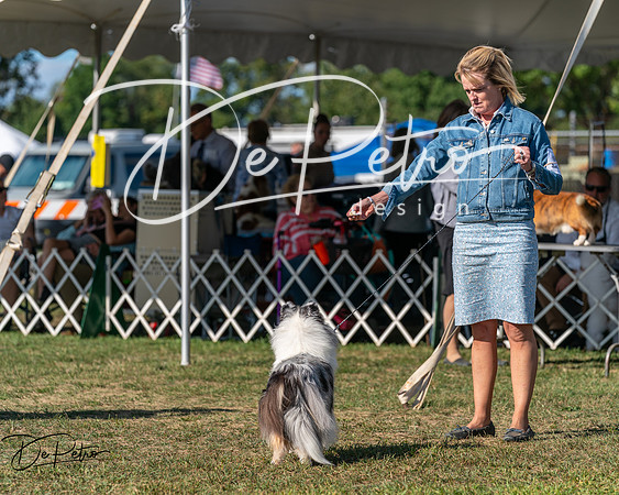 20250830-DSC05369