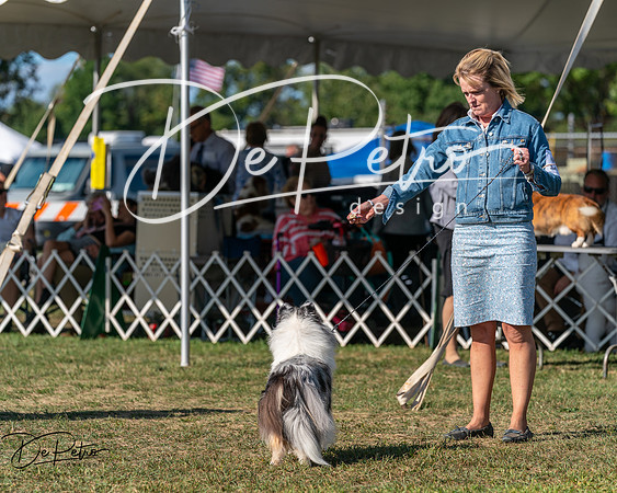 20250830-DSC05370