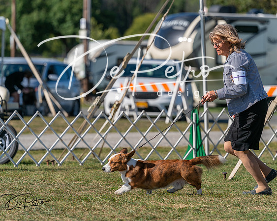 20250830-DSC05394