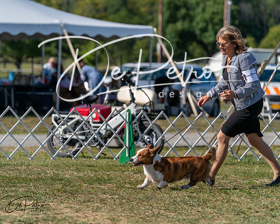 20250830-DSC05399
