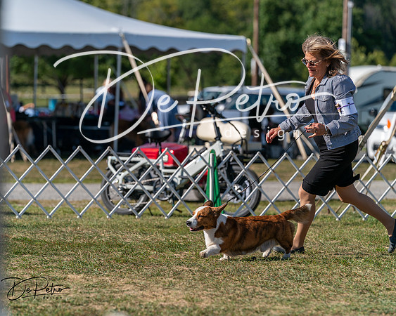 20250830-DSC05400