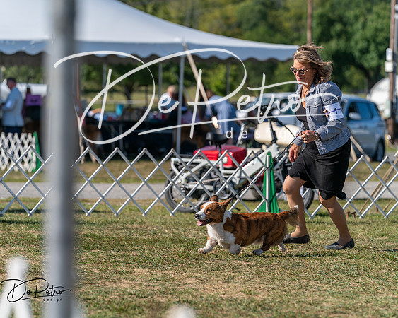 20250830-DSC05402