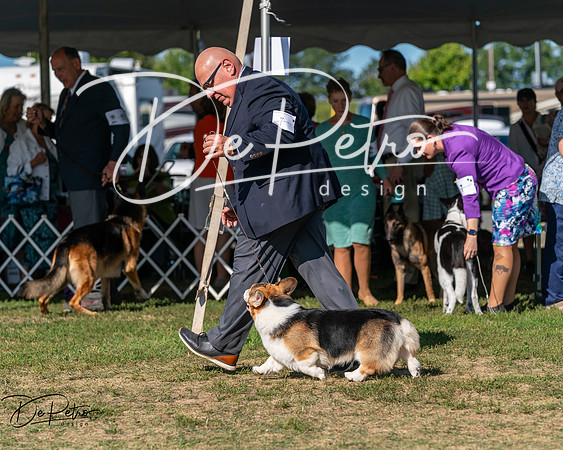 20250830-DSC05407