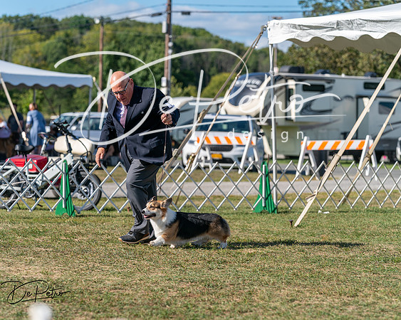 20250830-DSC05417