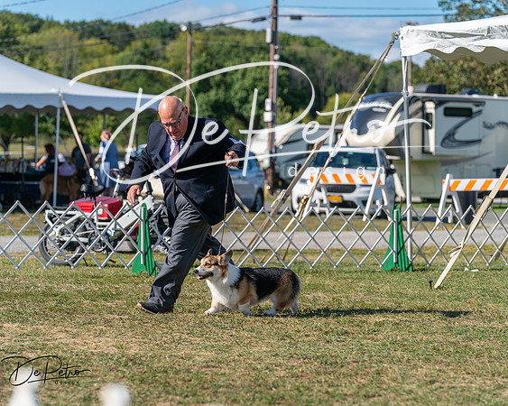 20250830-DSC05419