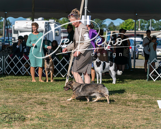 20250830-DSC05431