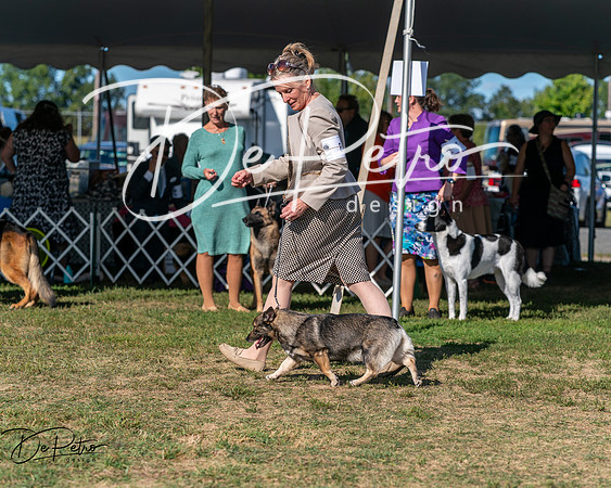 20250830-DSC05433