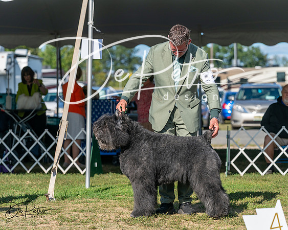 20250830-DSC05458